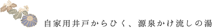 自家用井戸からひく、源泉かけ流しの湯