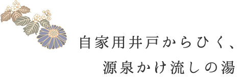 自家用井戸からひく、源泉かけ流しの湯